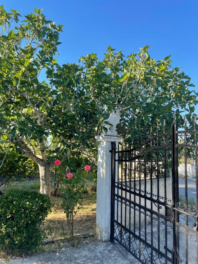 Beautiful Nearby Beach House With Garden, Private Pool And Large Yard 斯达林 外观 照片